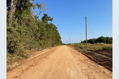 290 Red Hollow, Livingston, TX 77351 - Photo 21