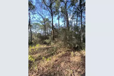 26870 Lazy Ln, Magnolia, TX 77355 - Photo 3