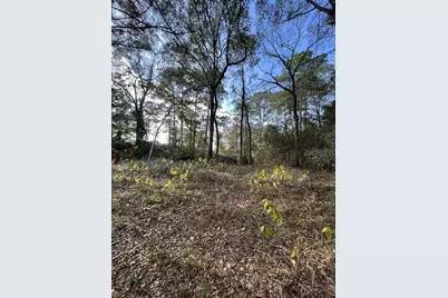 26870 Lazy Ln, Magnolia, TX 77355 - Photo 9