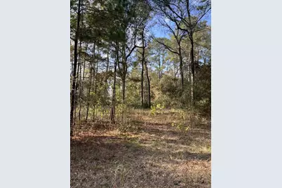 26870 Lazy Ln, Magnolia, TX 77355 - Photo 7