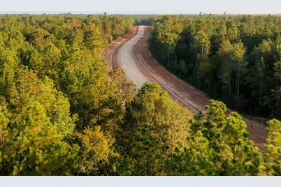 15229 Forest Grove Drive, Willis, TX 77378 - Photo 5