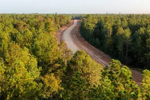 15229 Frst Grv Dr, Willis, TX 77378 - Photo 5