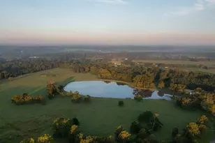 15229 Frst Grv Dr, Willis, TX 77378 - Photo 3