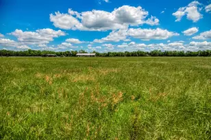 1850 Lcr 439, Groesbeck, TX 76667 - Photo 39