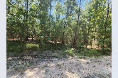 285 Sweet Gum Drive, Brookeland, TX 75931 - Photo 1