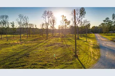 Tbd 04 Johnson Drive, Livingston, TX 77351 - Photo 3