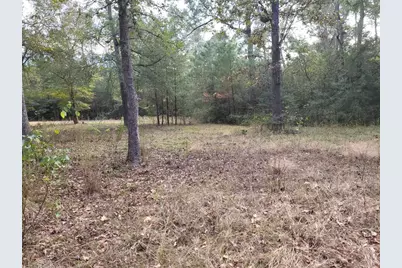 27055 Sandy Creek, Magnolia, TX 77355 - Photo 9