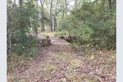 27055 Sandy Creek, Magnolia, TX 77355 - Photo 17