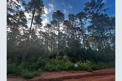 Lot 293 Timberline Dr, Hillister, TX 77624 - Photo 15