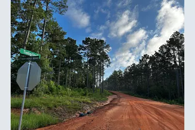 Lot 293 Timberline Dr, Hillister, TX 77624 - Photo 7