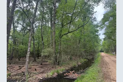 15800 Largent Drive, Plantersville, TX 77363 - Photo 3