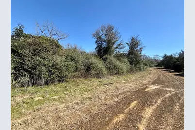 Tbd Sycamore Branch Road, Normangee, TX 77871 - Photo 5