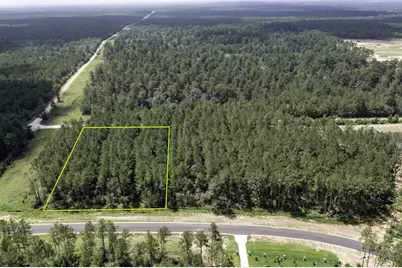 15285 Forest Grove Drive, Willis, TX 77378 - Photo 1