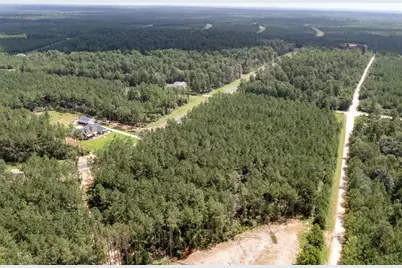 15285 Forest Grove Drive, Willis, TX 77378 - Photo 11