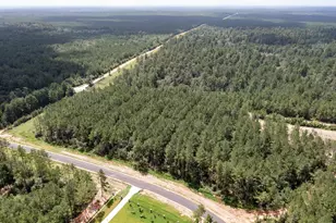 15285 Frst Grv Dr, Willis, TX 77378 - Photo 7