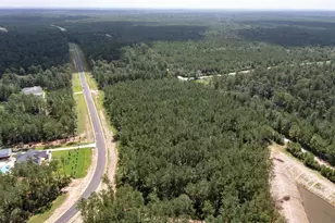 15285 Frst Grv Dr, Willis, TX 77378 - Photo 9