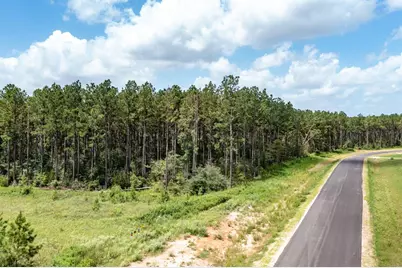 15285 Forest Grove Drive, Willis, TX 77378 - Photo 19