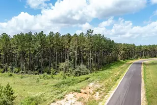 15285 Frst Grv Dr, Willis, TX 77378 - Photo 19