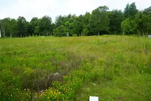 48 County Rd 3555, Cleveland, TX 77327 - Photo 17