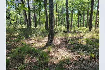 500 S Pine Lake Road, Montgomery, TX 77316 - Photo 33