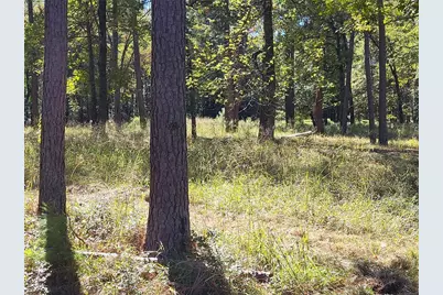 500 S Pine Lake Road, Montgomery, TX 77316 - Photo 11