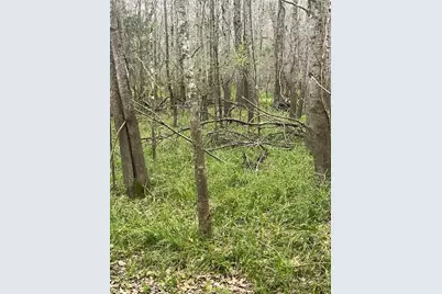 264 County Road 2505, Liberty, TX 77575 - Photo 5