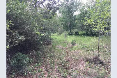 0 Donoho Street, Hempstead, TX 77445 - Photo 5