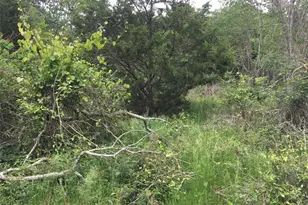 0 Donoho St, Hempstead, TX 77445 - Photo 1