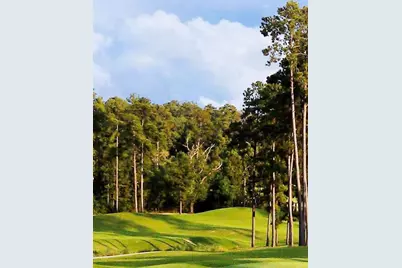 1912 E Lake Drive, Huntsville, TX 77340 - Photo 5