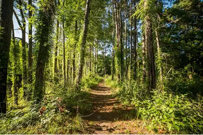 2-11-15 Remington Road, Huntsville, TX 77340 - Photo 15