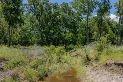 10649 Atakapan Trail, Bedias, TX 77831 - Photo 7