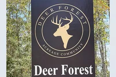 327 Iron Horse Road, Willis, TX 77378 - Photo 9