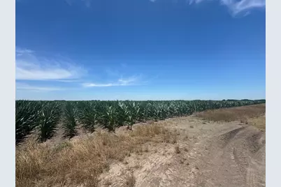 Tbd Cr 335 Road, Louise, TX 77455 - Photo 1