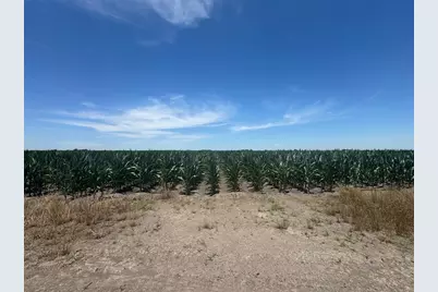 Tbd Cr 335 Road, Louise, TX 77455 - Photo 7