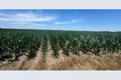 Tbd Cr 335 Road, Louise, TX 77455 - Photo 3