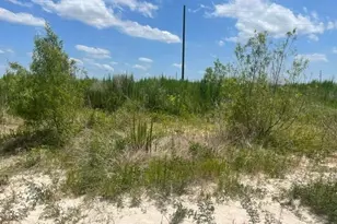 591513 121 Rd, Cleveland, TX 77327 - Photo 1