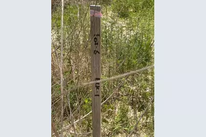 591513 121 Road, Cleveland, TX 77327 - Photo 3