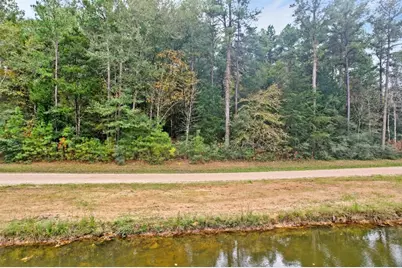 0 Belinowski Road, New Waverly, TX 77358 - Photo 9