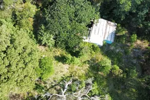 185 Co Rd 4005, Woodville, TX 75979 - Photo 5