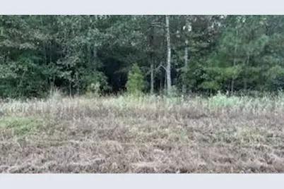 0 Stagecoach Circle, Huntsville, TX 77340 - Photo 3