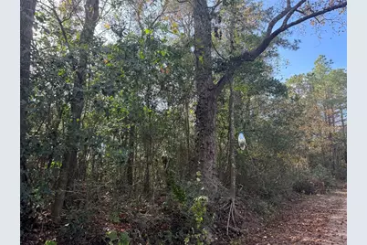 9772 Main Road, Porter, TX 77365 - Photo 3