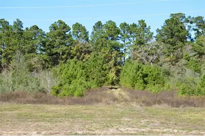 Tract #2 Sh 249, Navasota, TX 77868 - Photo 3