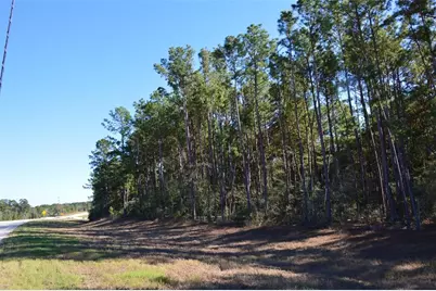 Tract #2 Sh 249, Navasota, TX 77868 - Photo 27