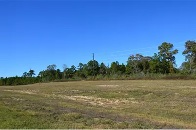 Tract #2 Sh 249, Navasota, TX 77868 - Photo 7