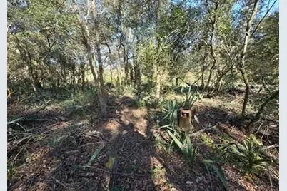 000 Bayou Road, Danbury, TX 77534 - Photo 5