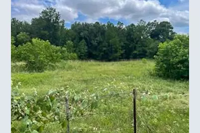 Tbd Jenkins Road, Huntsville, TX 77320 - Photo 3