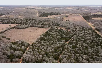17 Acres - 000 Grassyville Rd, Paige, TX 78659 - Photo 1