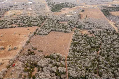 17 Acres - 000 Grassyville Rd, Paige, TX 78659 - Photo 21