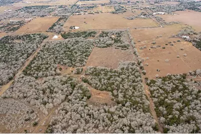 17 Acres - 000 Grassyville Rd, Paige, TX 78659 - Photo 25