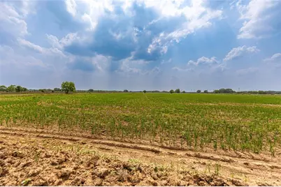 Tract 4 County Road 106, Columbus, TX 78934 - Photo 13